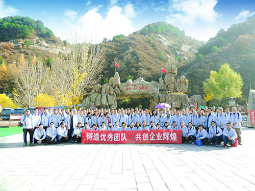 海利集團,長沙殺蟲劑,長沙光氣衍生物,長沙氨基酸保護劑,長沙鋰離子電池材料